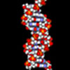 Molecular Inheritance